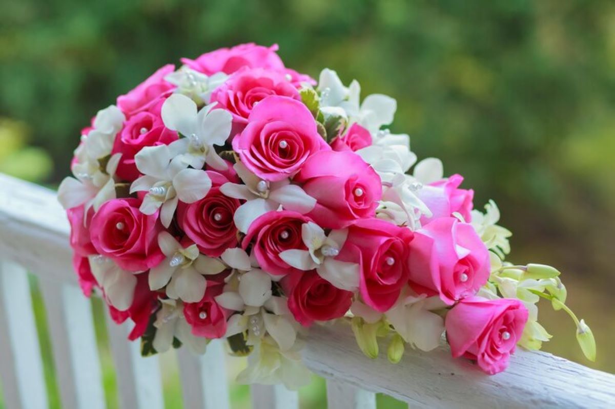Cremorne Florists: Your Guide to Stunning Flower Arrangements